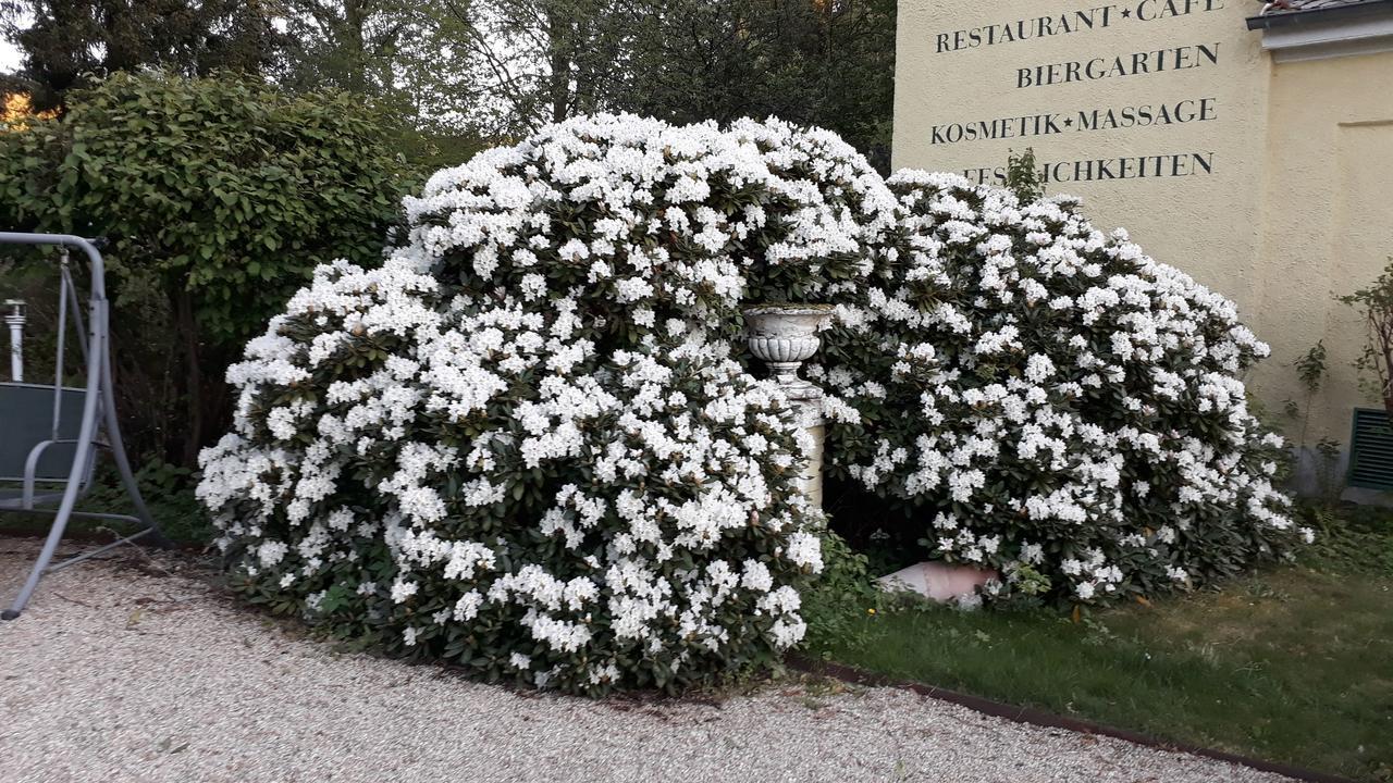 Hotel Quellenpark Bad Elster Exterior foto